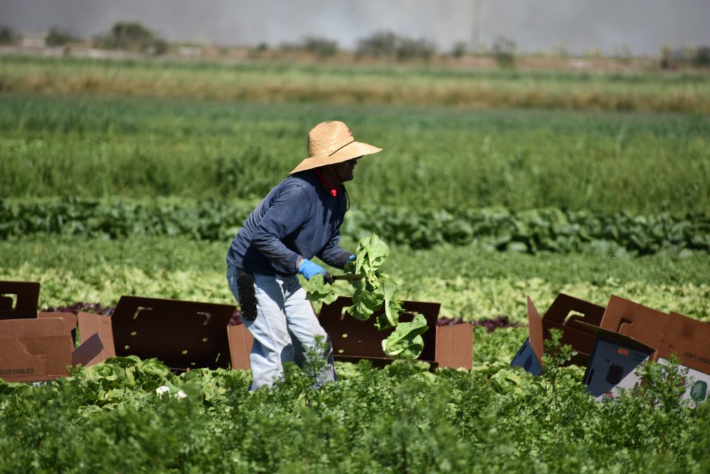 farm bill