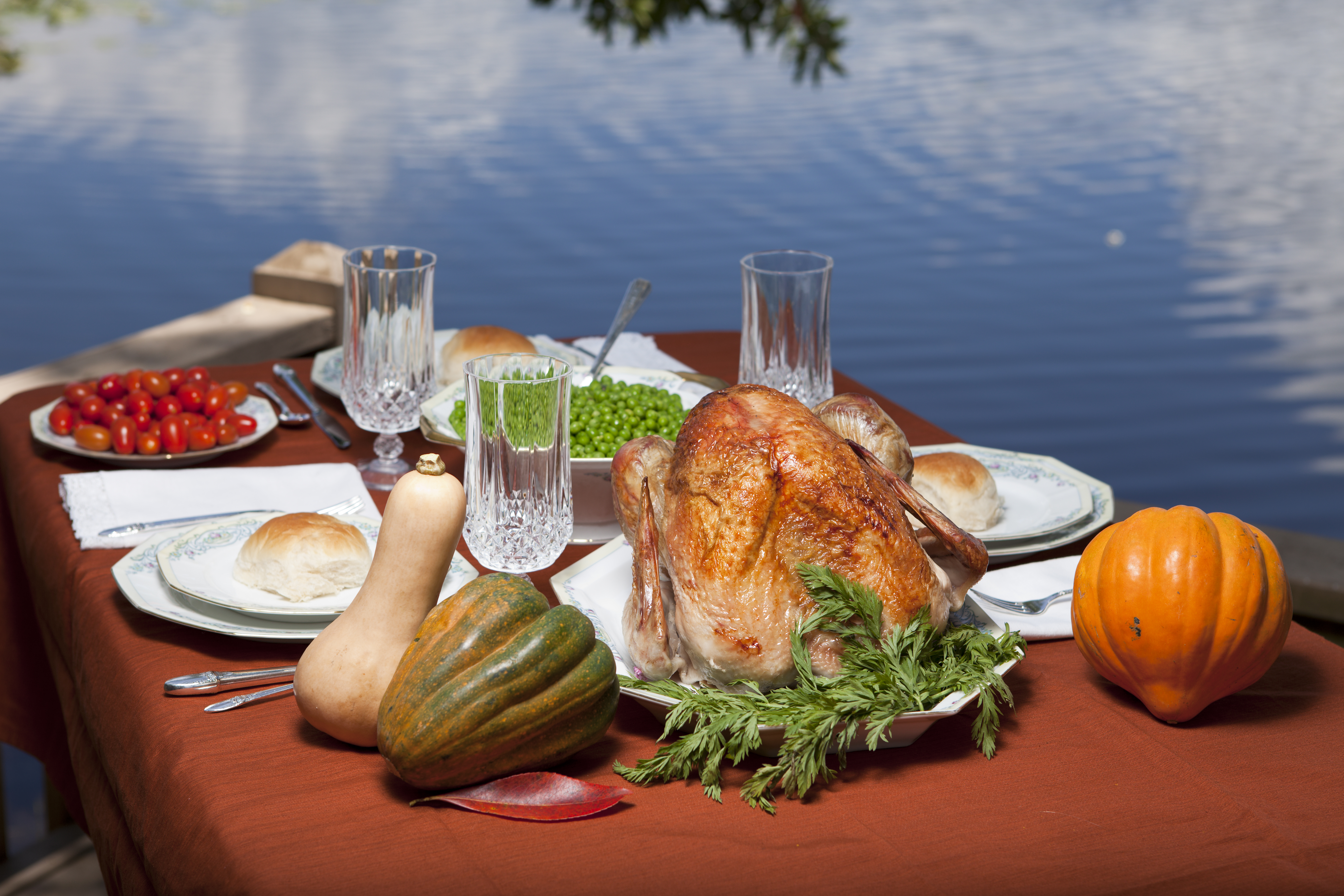 Feast On Florida-Grown Foods This Thanksgiving - Southeast AgNET