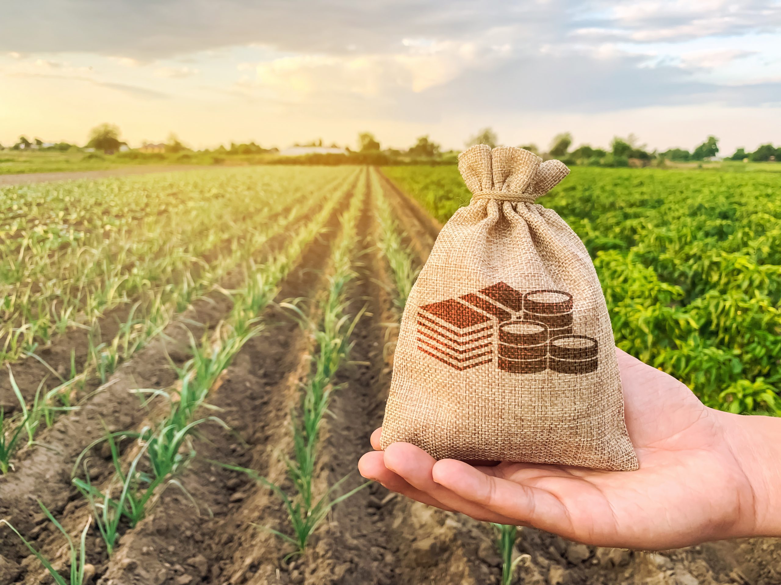 Approximately $6 Billion Provided to Commodity and Specialty Crop Producers Impacted by Natural Disasters - Southeast AgNet