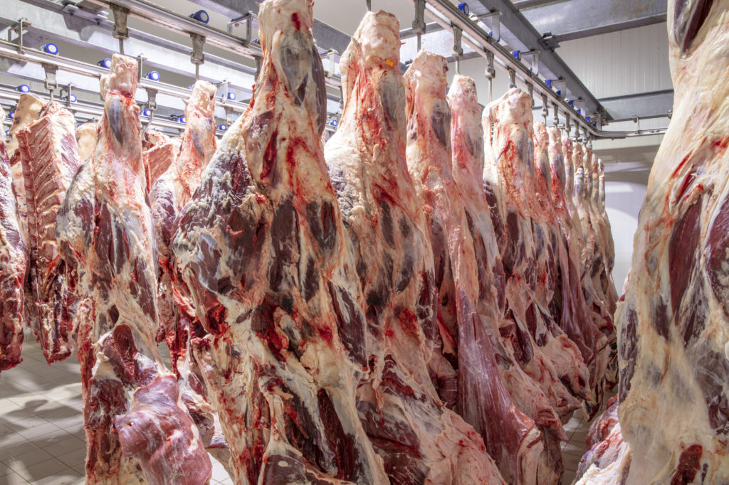 USDA Beef and Steer Price Forecasts for 2027