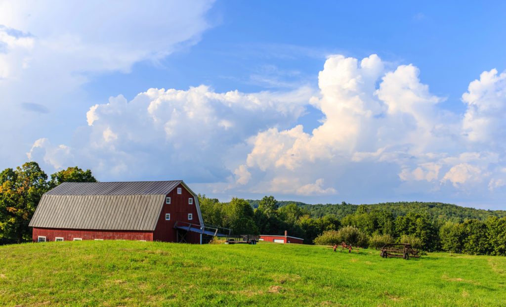 Farmland Values Remain Resilent