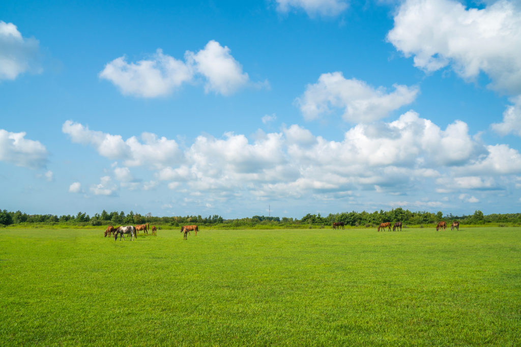 agricultural