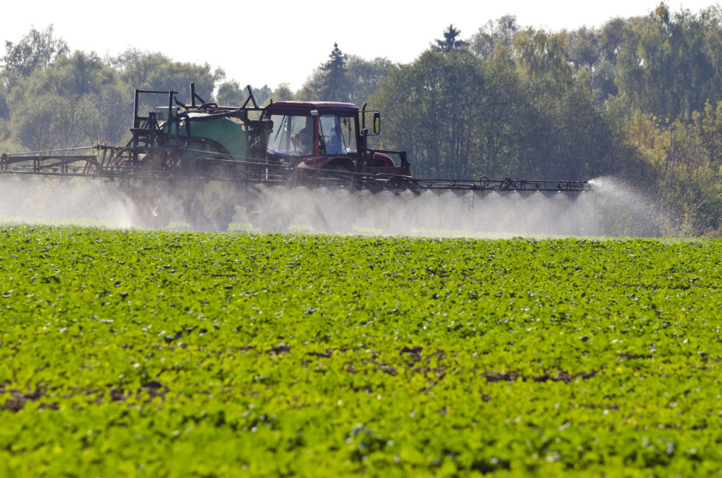 herbicide resistance