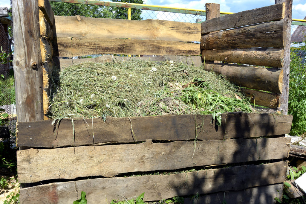 food waste reduction