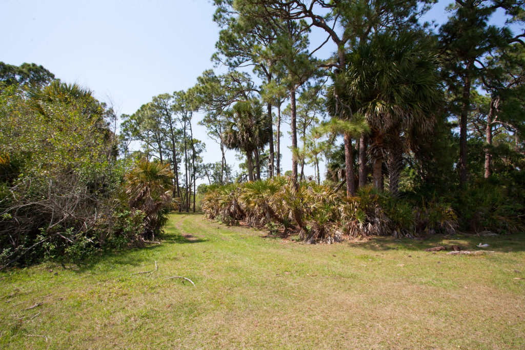 Florida family farm