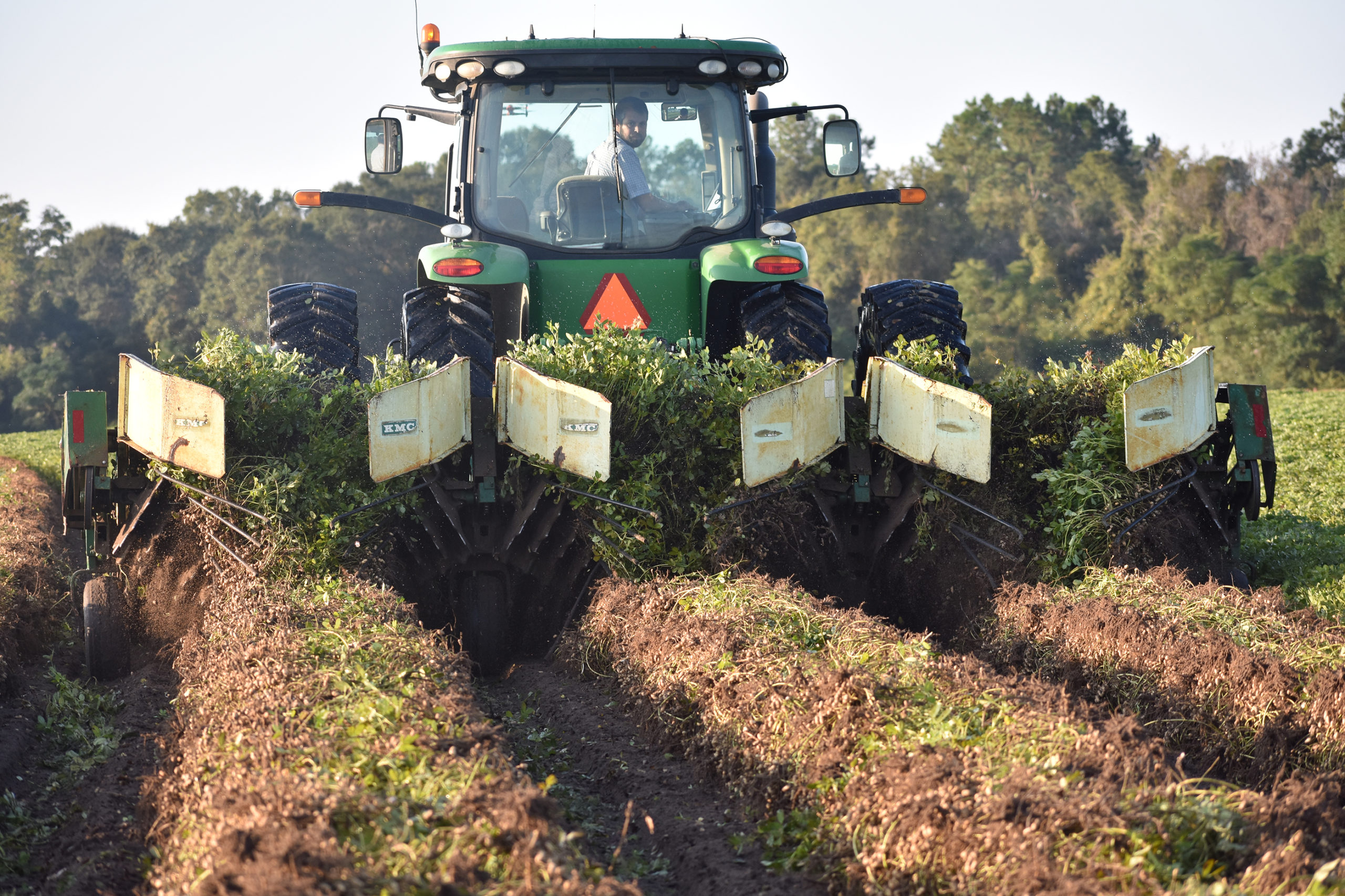 Lull Expected During Georgia Peanut Harvests