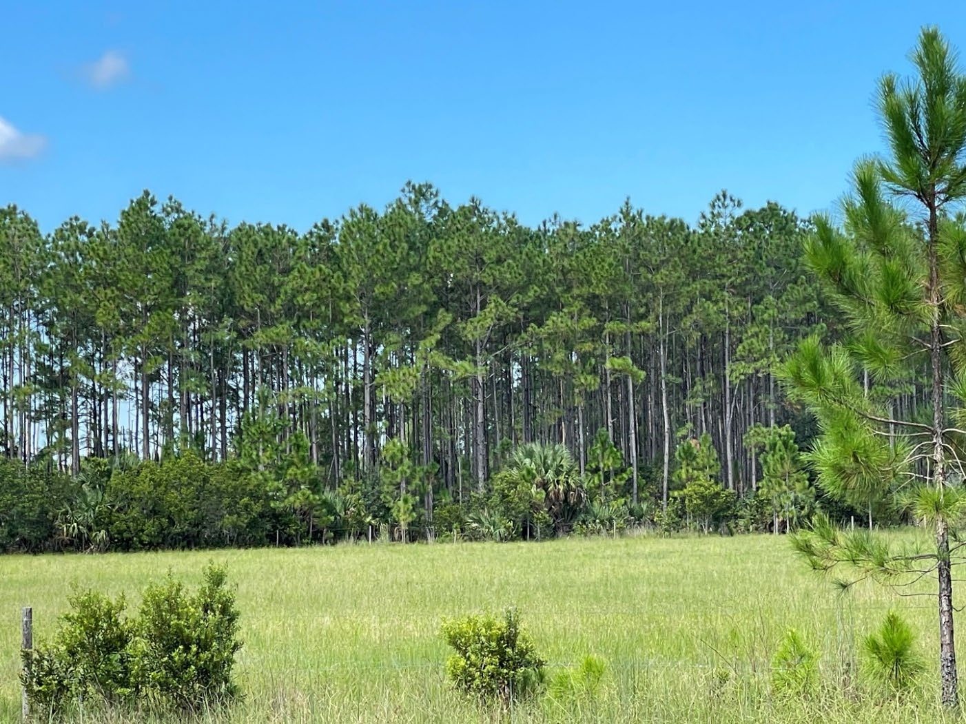 Tm Ranch Florida Florida Commissioner of Ag Announces Preservation of Farmland in ...