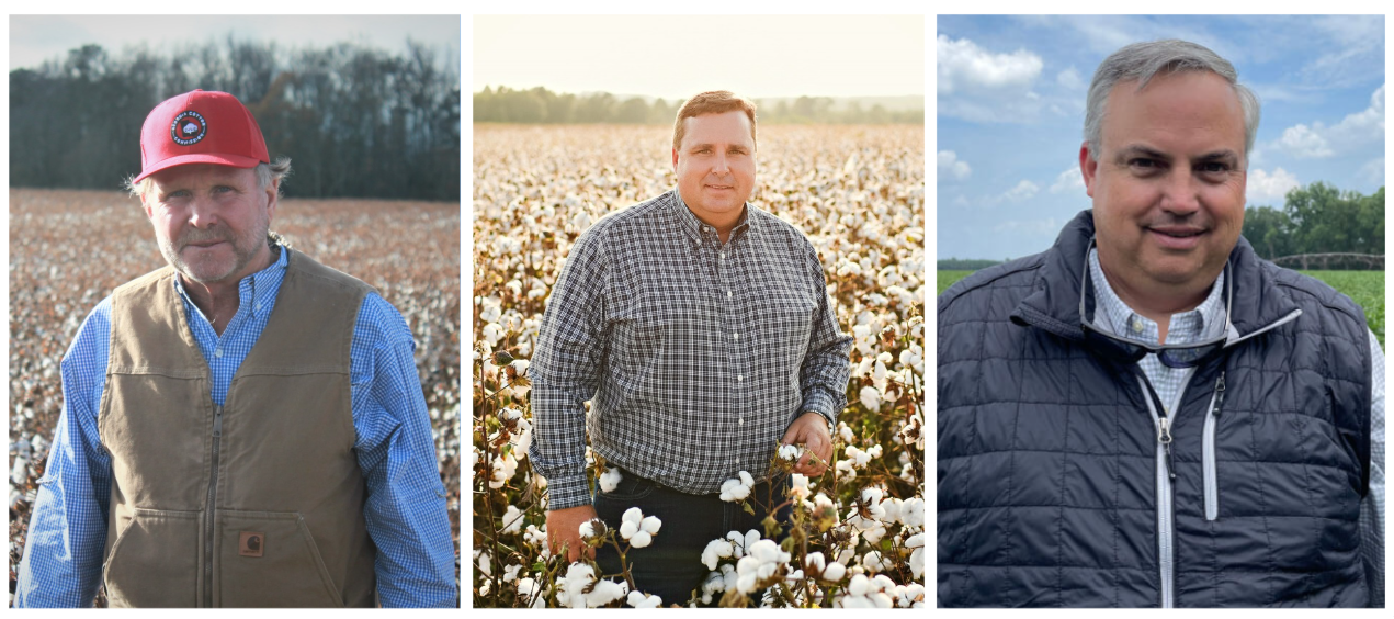 Ruark, Hopkins and Sikes Reappointed to Georgia Cotton Commission Board