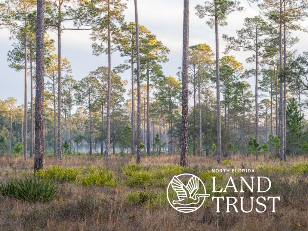 Clay Landowners Workshop to Highlight Cost-Share, Conservation Resources